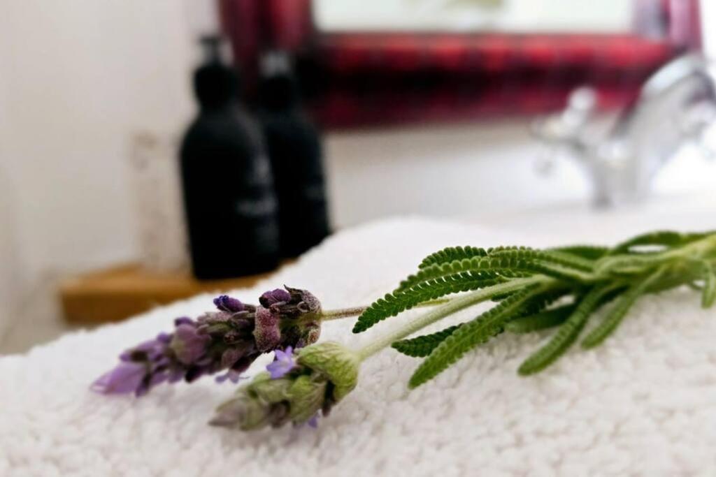 Grey Rabbit Cottage Montagu Dış mekan fotoğraf