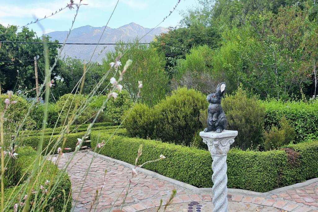Grey Rabbit Cottage Montagu Dış mekan fotoğraf