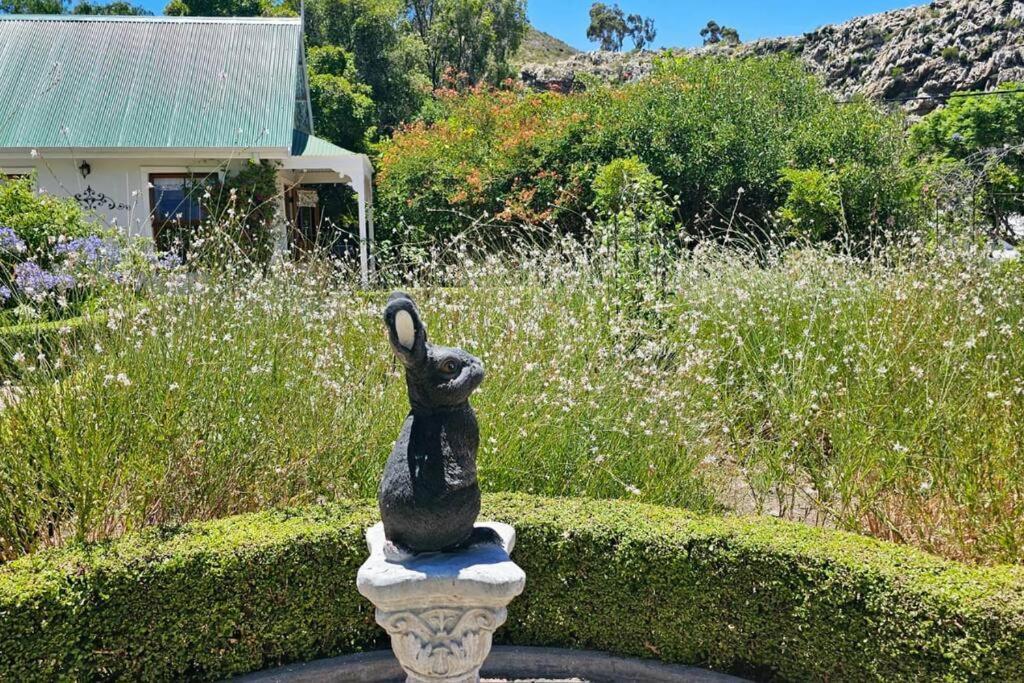 Grey Rabbit Cottage Montagu Dış mekan fotoğraf