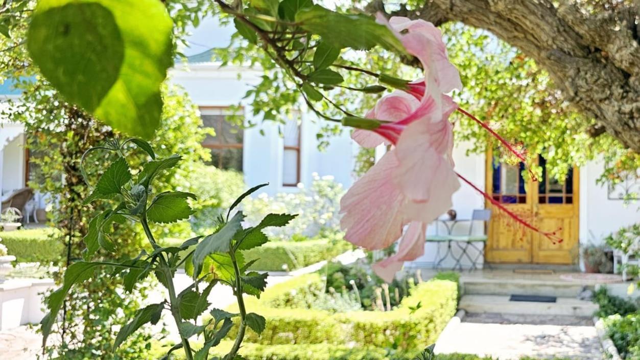 Grey Rabbit Cottage Montagu Dış mekan fotoğraf